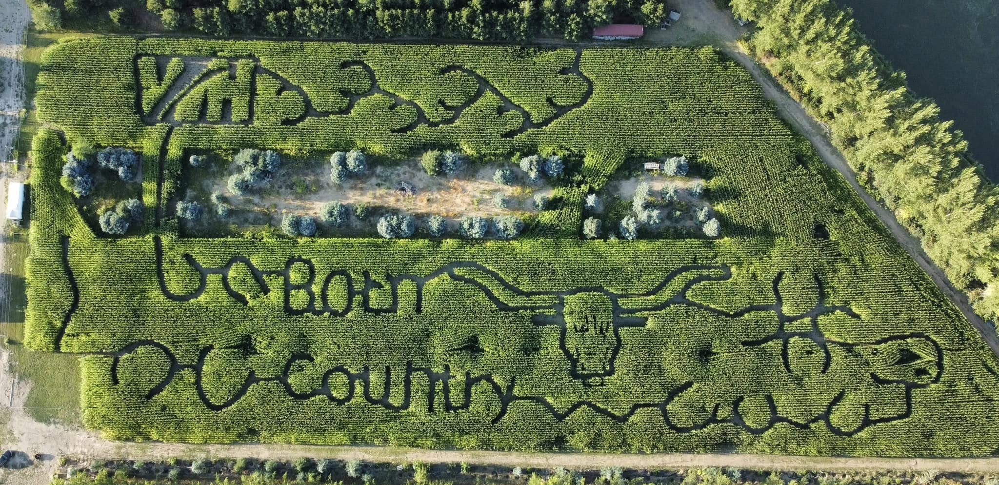 Aerial view of the Magic Valley Corn Maze