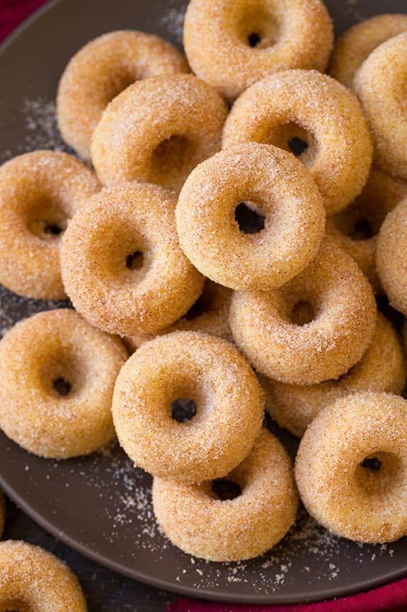 Fresh cinnamon sugar mini donuts