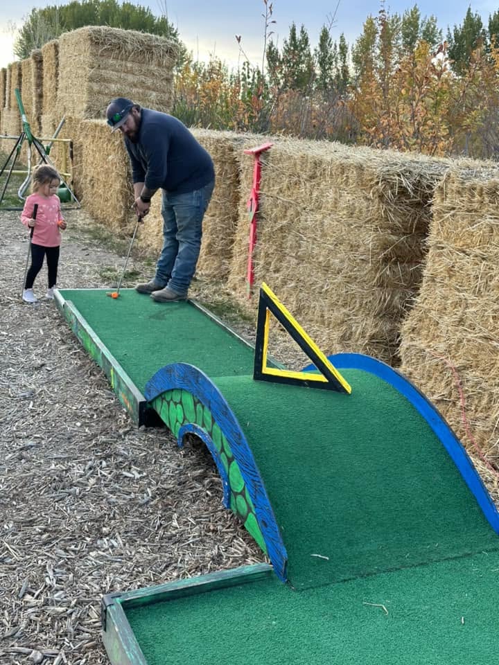 Adult and child playing mini golf between hay bales