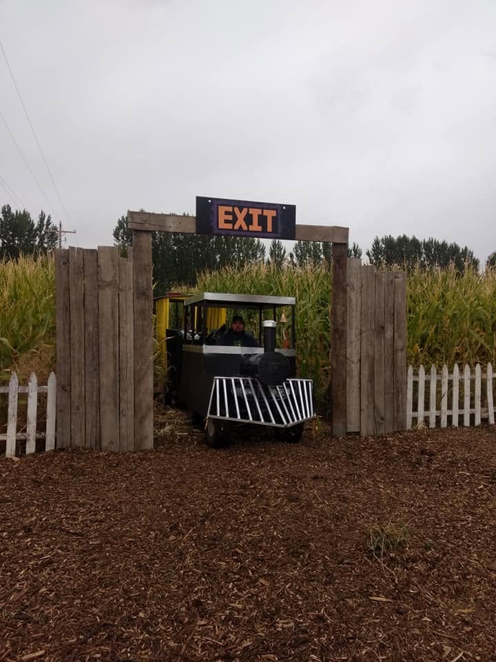 Magic Valley Express train emerging from the corn maze exit